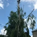 Выполняем все виды строительных работ