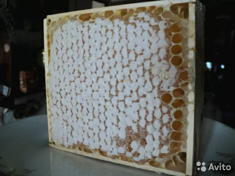 Натуральный пчелиный мёд 2