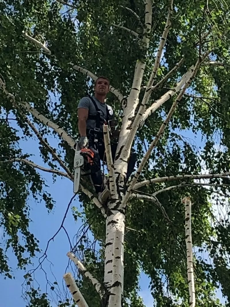 Выполняем все виды строительных работ 2